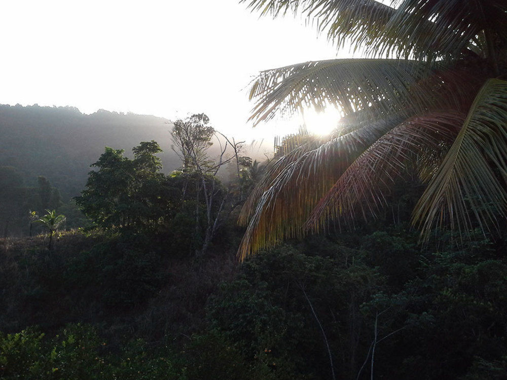 Las Cuevas Beach Lodge Exterior photo